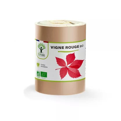 Vigne rouge