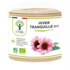 Hiver tranquille
